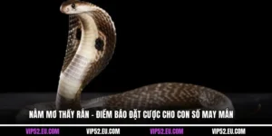 Nằm Mơ Thấy Rắn - Điềm Báo Đặt Cược Cho Con Số May Mắn